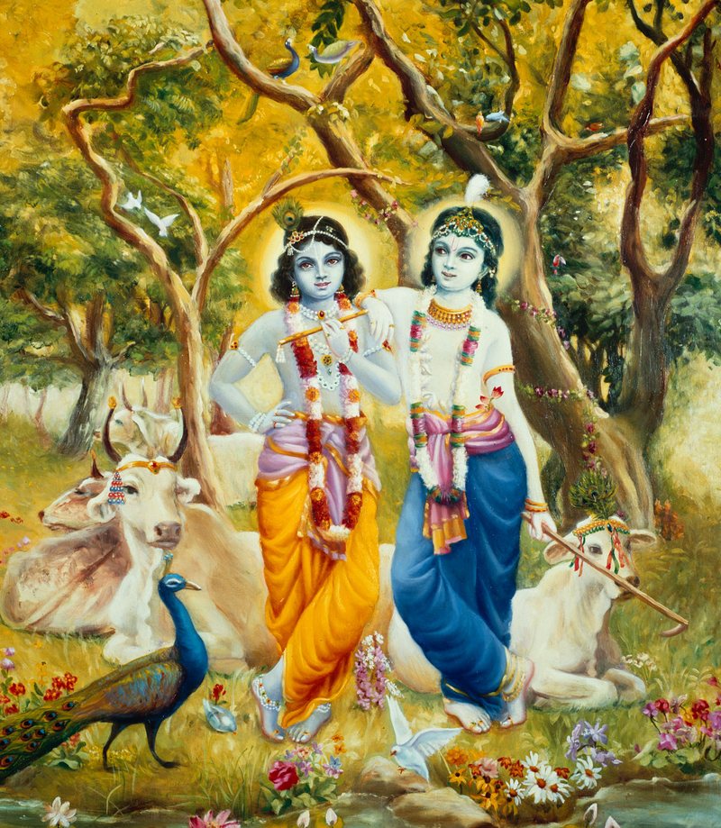 Krishna and Balarama with Their cows in Vrindavan